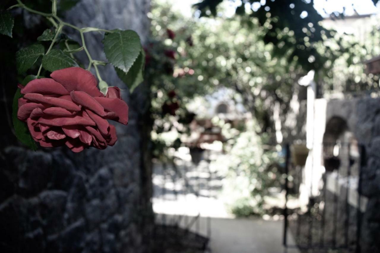 Villa No 5 Bodrum Kültér fotó