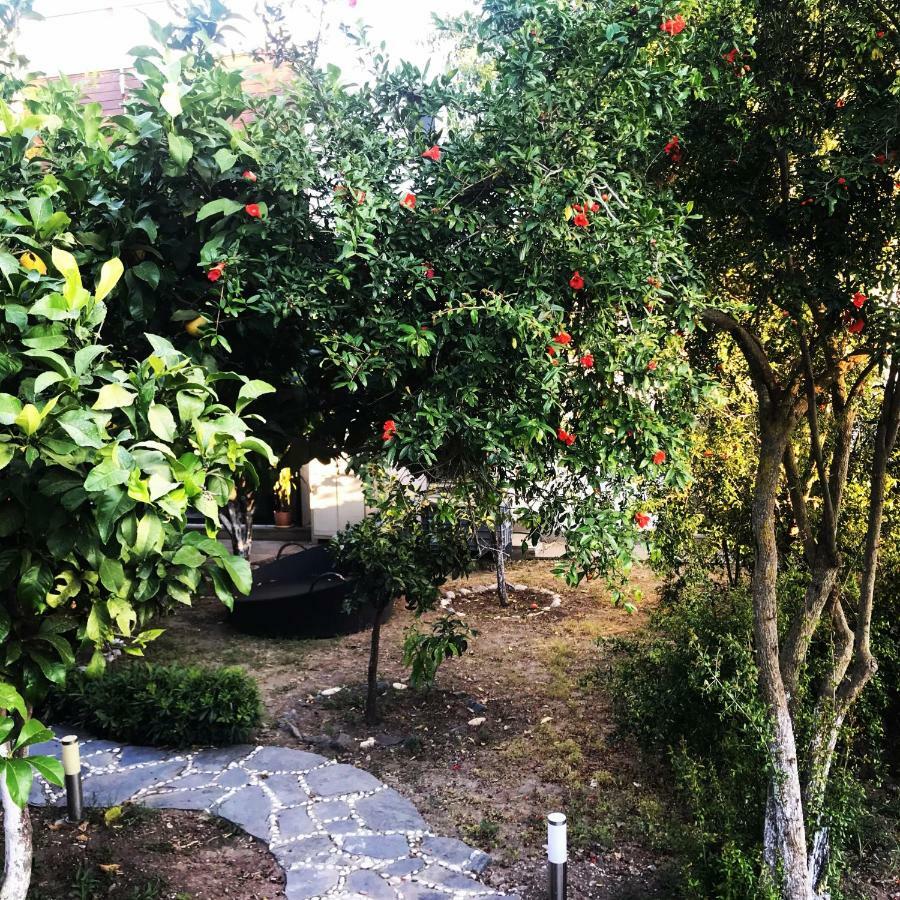Villa No 5 Bodrum Kültér fotó